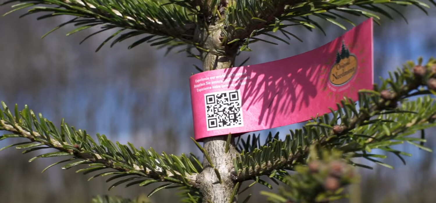 Christmas tree order Oudergem - Order a Christmas tree